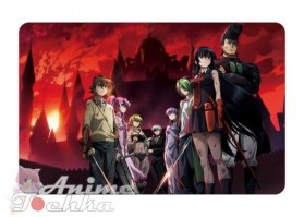 Akame ga kill 14